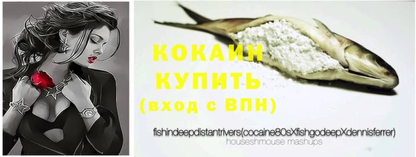 2c-b Новозыбков