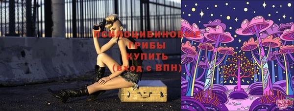 2c-b Новозыбков