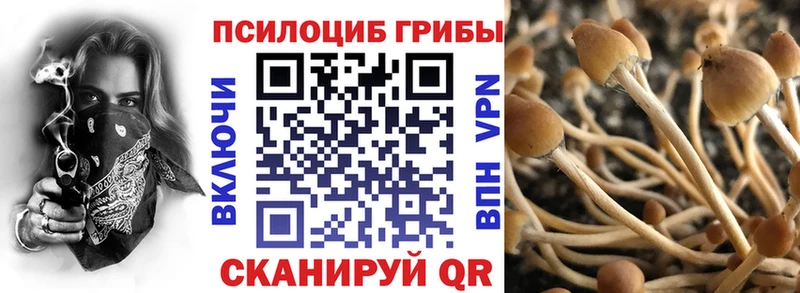 это как зайти где можно купить Саров Псилоцибиновые грибы Psilocybe